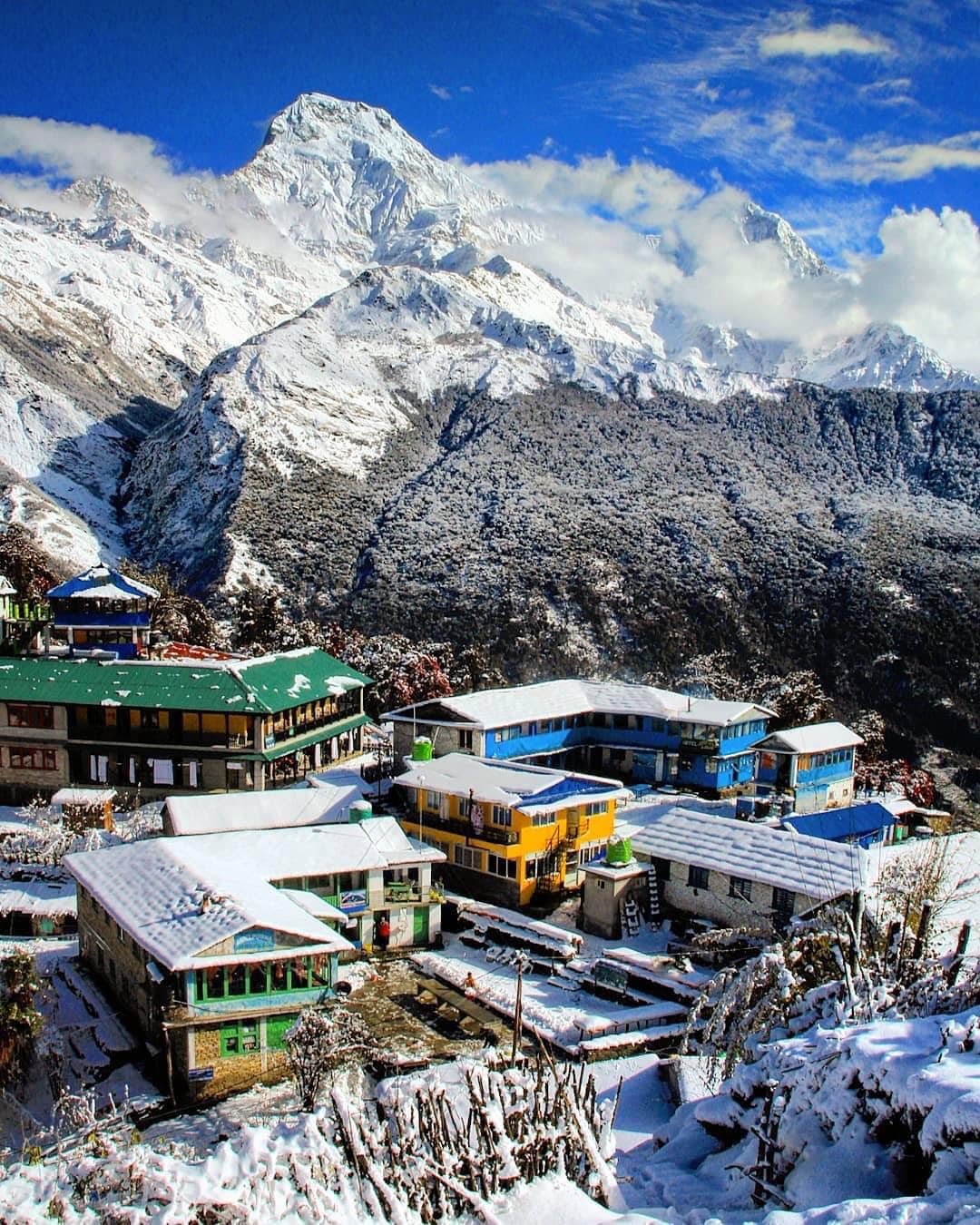 Himalaya seen from Tadapani