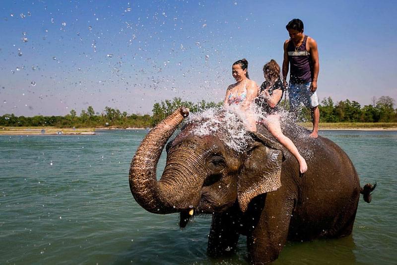 Elephant Festival kicks off in Nepal’s tourism hub Chitwan