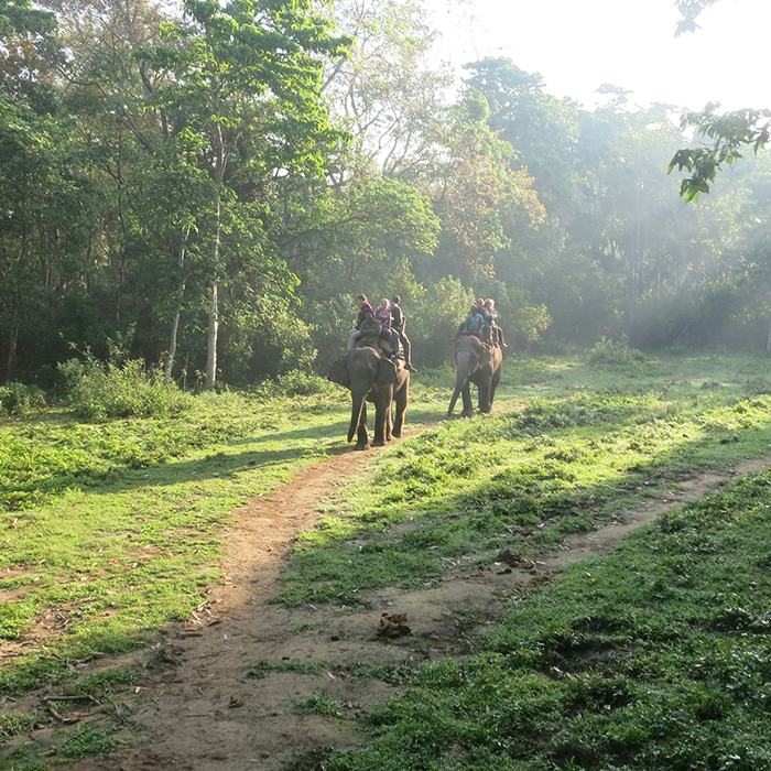 Elephant Festival kicks off in Nepal’s tourism hub Chitwan