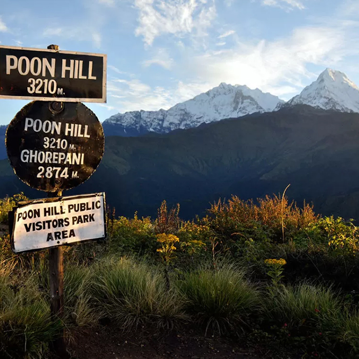 Ghorepani Poon Hill Trekking