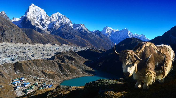 16 Days Everest Base Camp with Gokyo Ri Trekkking