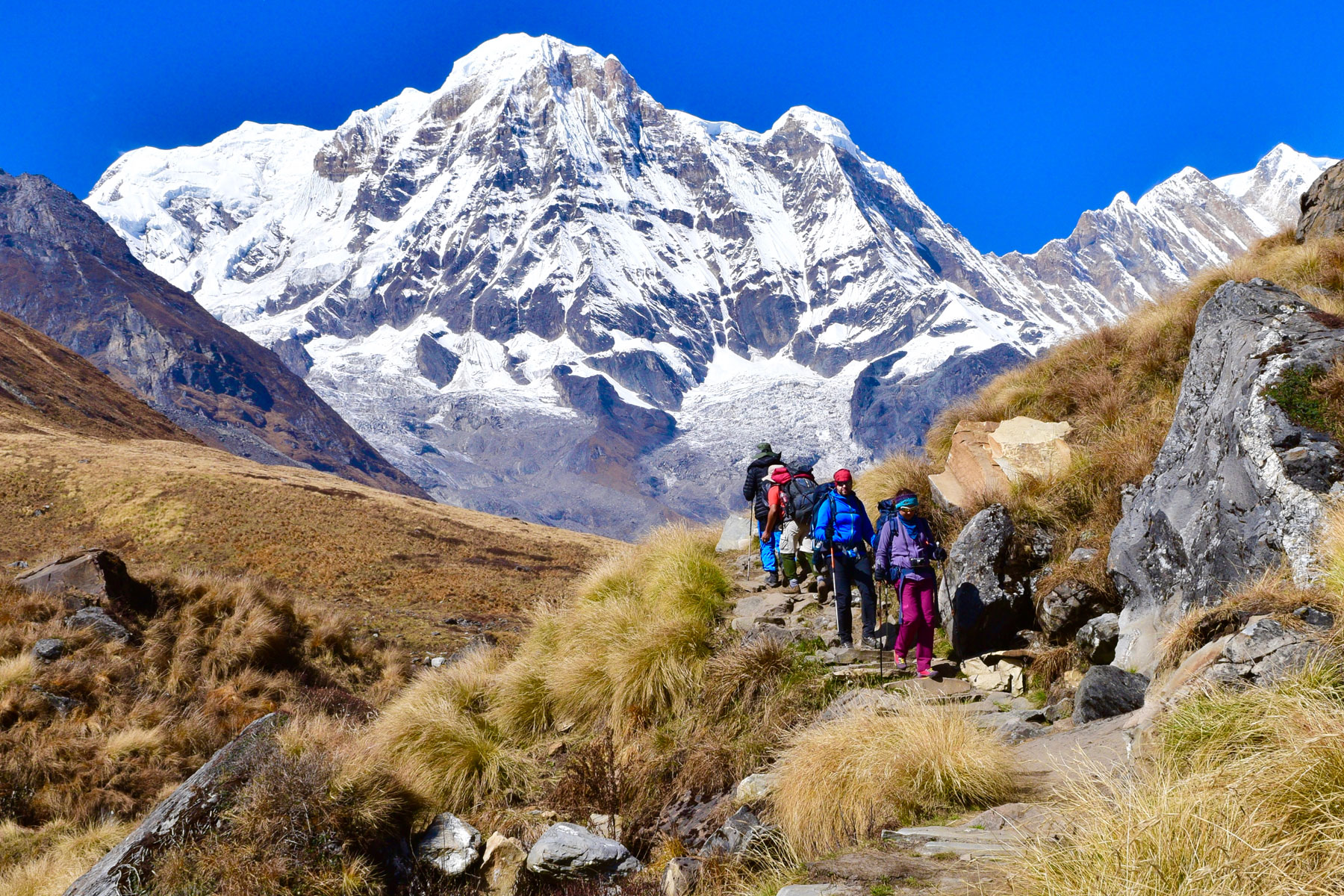 Annapurna View Trekking